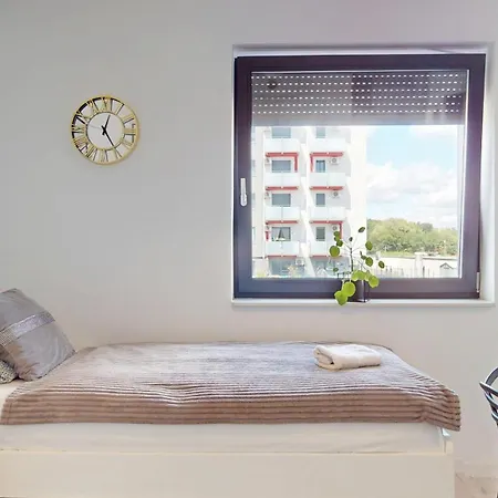 Fibra Brownie * ריבניק