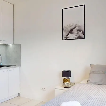 Fibra Brownie Apartament *