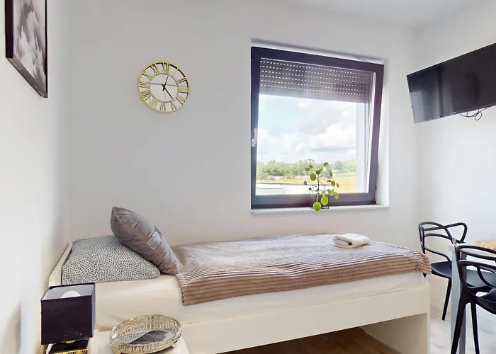 Fibra Brownie ריבניק