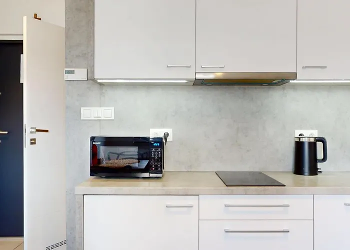 Fibra Brownie Rybnik (Silesia)