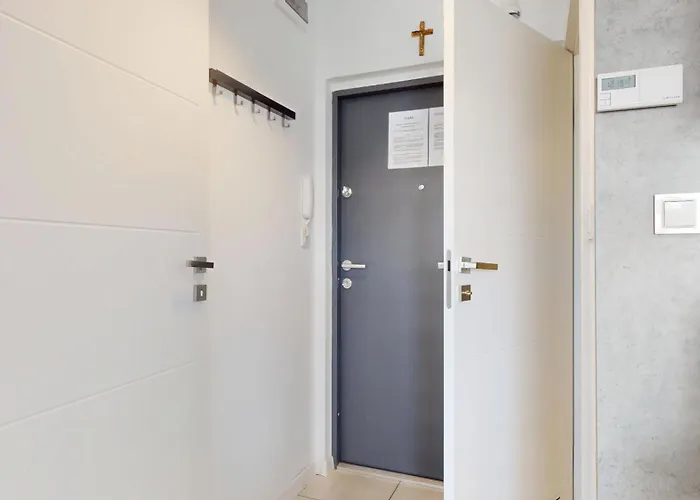 Fibra Brownie Rybnik (Silesia)